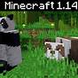 How Rare Are Brown Pandas In Minecraft