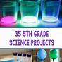 Science Projects For 2nd Graders Ideas