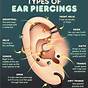 Ear Piercing Anatomy Chart