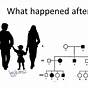 Human Genetic Traits Worksheet