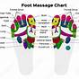Foot To Organ Chart
