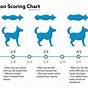 Chihuahua Body Language Chart
