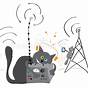 Cat Radio Wiring