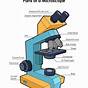 Color The Microscope Parts Worksheet