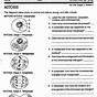 Enchanted Learning Mitosis Worksheet Answers