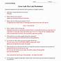 Enzyme Worksheet Biology Answer Key