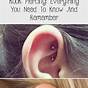 Ear Piercing Pain Chart Rook