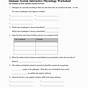 The Immune System Worksheets