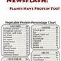 Protein For Vegans Chart