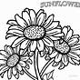Printable Sunflower Coloring Page