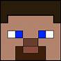 Steve From Minecraft Face