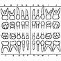 Printable Blank Tooth Chart