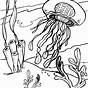 Jellyfish Coloring Pages Printable