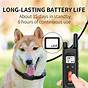 Nvk Dog Training Collar Replacement Charger