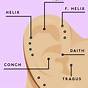 Ear Piercing Chart For Health And Balance