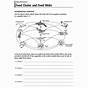 Food Chain 3rd Grade Worksheet
