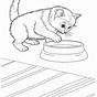Printable Cat Pictures To Color