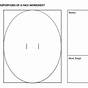 Proportions Of The Face Worksheet