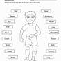 Body Image Worksheets For Adults