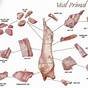 Veal Cuts Chart Meat