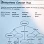 Ecosystem Concept Map Worksheet Answers