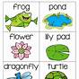 Pond Life Worksheets Preschool