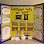 Science Fair Projects For 1st Graders