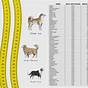 Dog Collar Size Chart By Weight