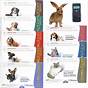 Toltrazuril For Dogs Dosage Chart