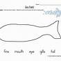 Fish Anatomy Worksheet
