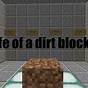 I Do Not Look Like A Minecraft Dirt Block