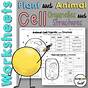 Superstar Worksheets Animal And Plant Cell