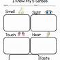 Kindergarten 5 Senses Worksheet