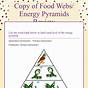 Food Webs And Energy Pyramids Worksheet Answers