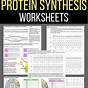 Protein Synthesis Worksheet Key