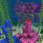 What Biome Do Coral Reefs Spawn In Minecraft