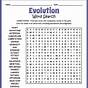 Evolution Vocabulary Worksheet Answers