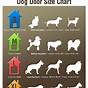 Dog Size Chart By Breed