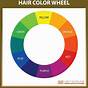 Colour Wheel Hair Chart