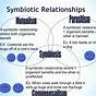 Symbiotic Relationships Worksheet Good Buddies