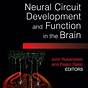 Neural Circuit Diagram