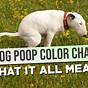 Dog Throw Up Color Chart