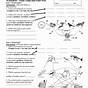 Food Webs And Food Chain Worksheets