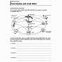 Food Chain Worksheet With Answers
