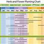 Zone 8 Planting Chart