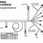 Holley Ls Coil Harness Wiring Diagram