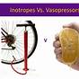 Are Inotropes And Vasopressors The Same
