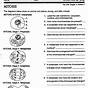 Mitosis Practice Worksheets Answer Key