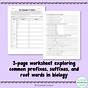 The Language Of Science Worksheets Answers