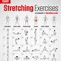 Printable Stretch Strap Exercises Pdf